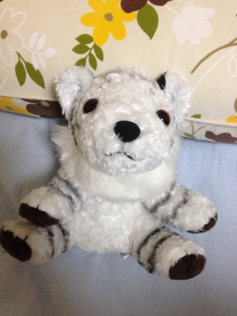 f:id:ponsan:20130208204828j:plain f:id:ponsan:20130208204828j:plain