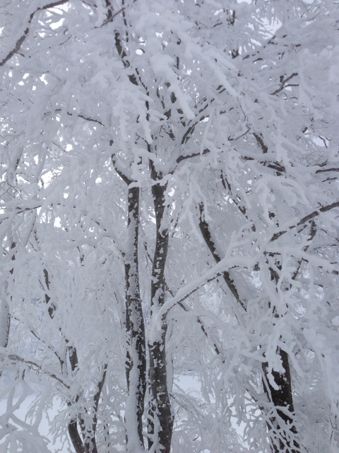 f:id:ponsan:20130212195609j:plain f:id:ponsan:20130212195609j:plain