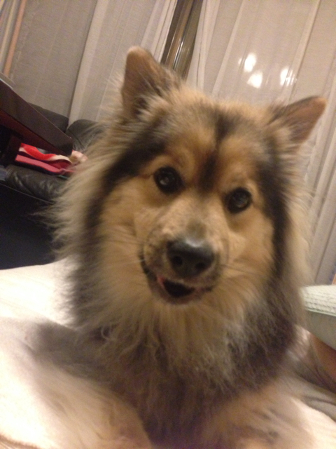 f:id:ponsan:20130412230054j:plain f:id:ponsan:20130412230054j:plain