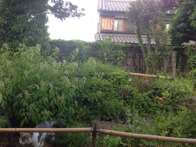 f:id:ponsan:20130503195358j:plain f:id:ponsan:20130503195358j:plain