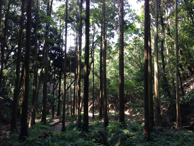 f:id:ponsan:20130817152920j:plain f:id:ponsan:20130817152920j:plain