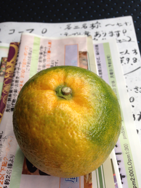 f:id:ponsan:20131029190830j:plain f:id:ponsan:20131029190830j:plain