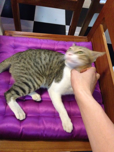 f:id:ponsan:20140812185916j:plain f:id:ponsan:20140812185916j:plain
