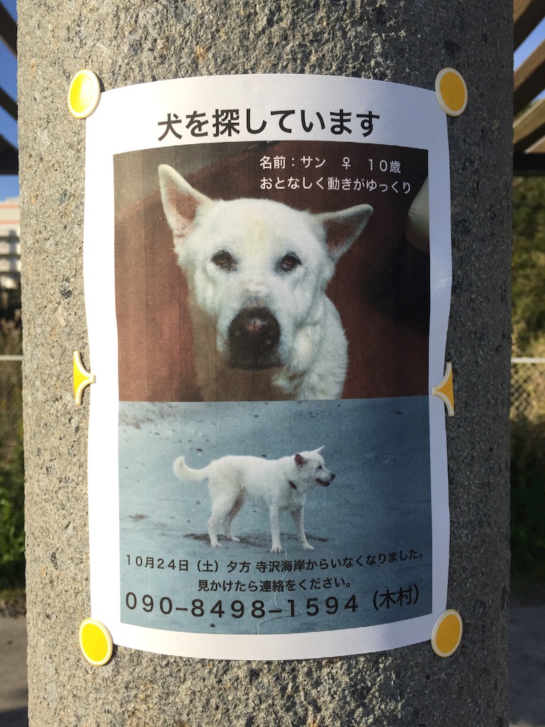 f:id:pooteen:20151029234148j:image f:id:pooteen:20151029234148j:image