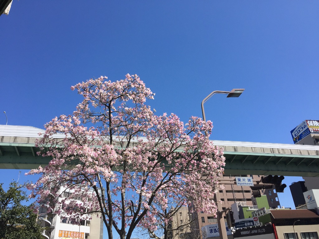 f:id:pooteen:20160321135700j:image f:id:pooteen:20160321135700j:image