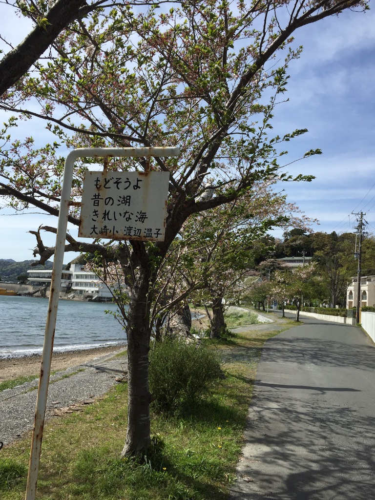 f:id:pooteen:20160412004756j:image f:id:pooteen:20160412004756j:image
