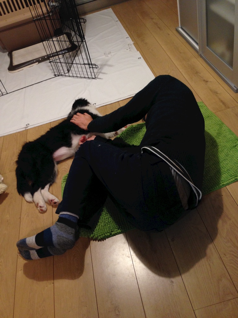 f:id:popo330tama:20160416195403j:image f:id:popo330tama:20160416195403j:image
