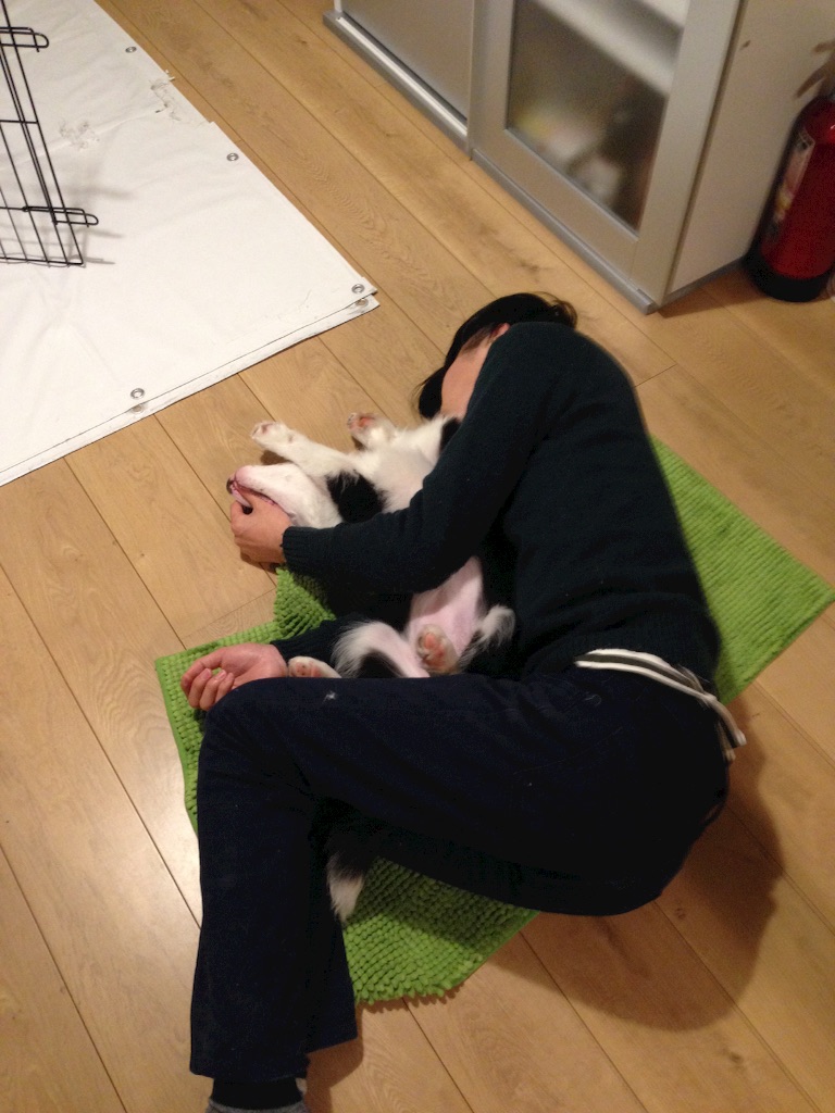 f:id:popo330tama:20160416195437j:image f:id:popo330tama:20160416195437j:image