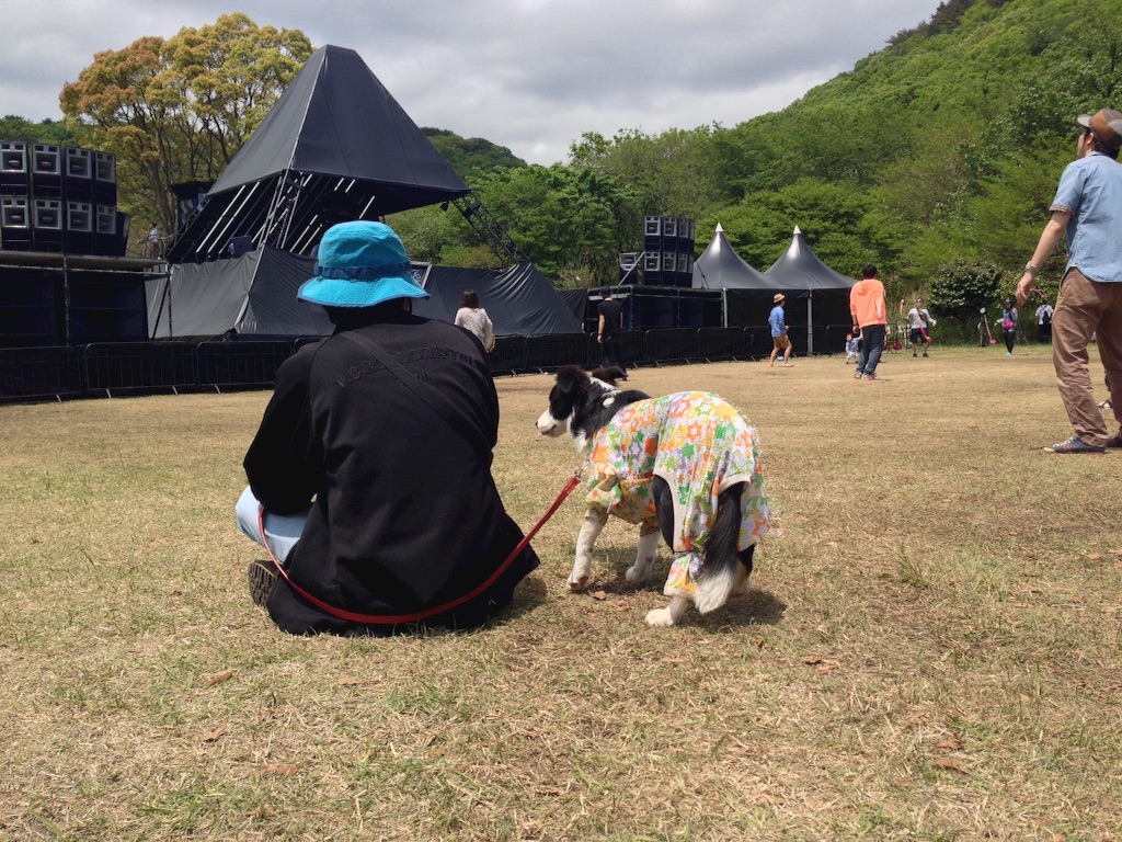 f:id:popo330tama:20160531170018j:image f:id:popo330tama:20160531170018j:image