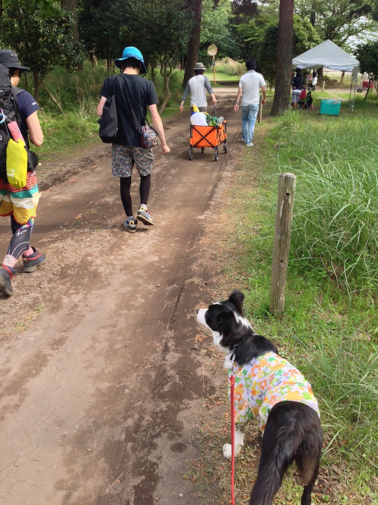 f:id:popo330tama:20160531220656j:image f:id:popo330tama:20160531220656j:image