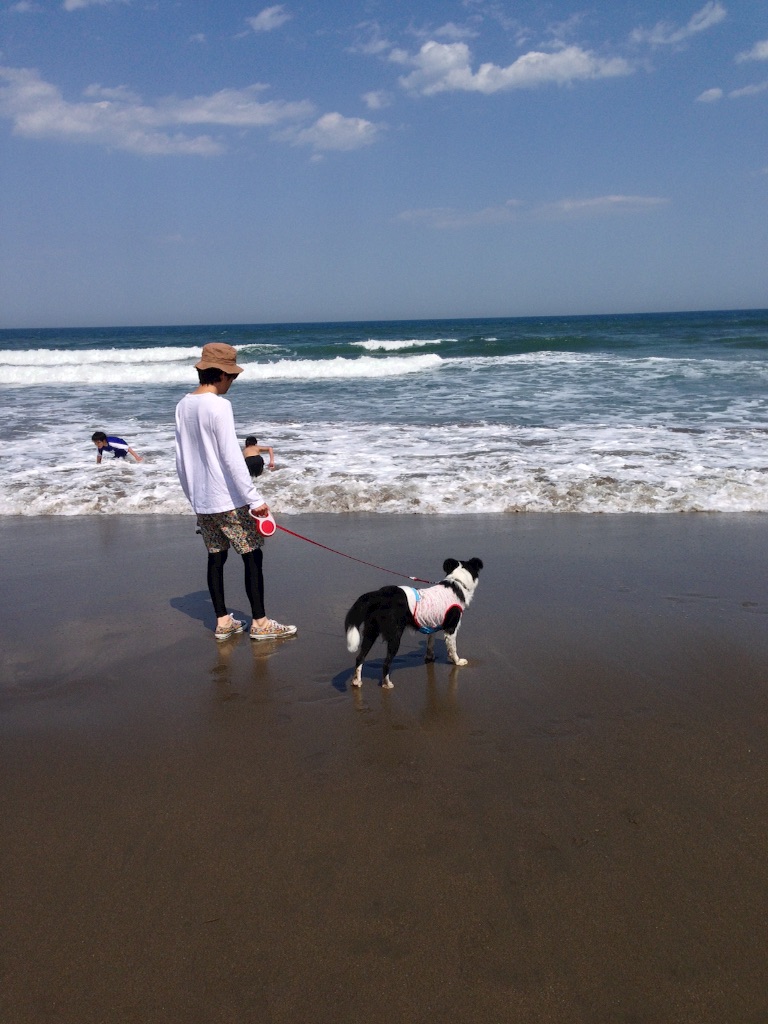f:id:popo330tama:20160608182322j:image f:id:popo330tama:20160608182322j:image