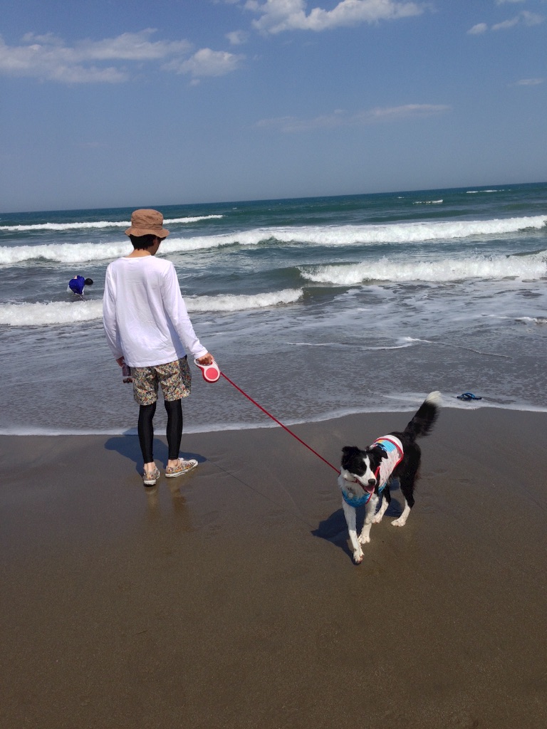 f:id:popo330tama:20160608182443j:image f:id:popo330tama:20160608182443j:image