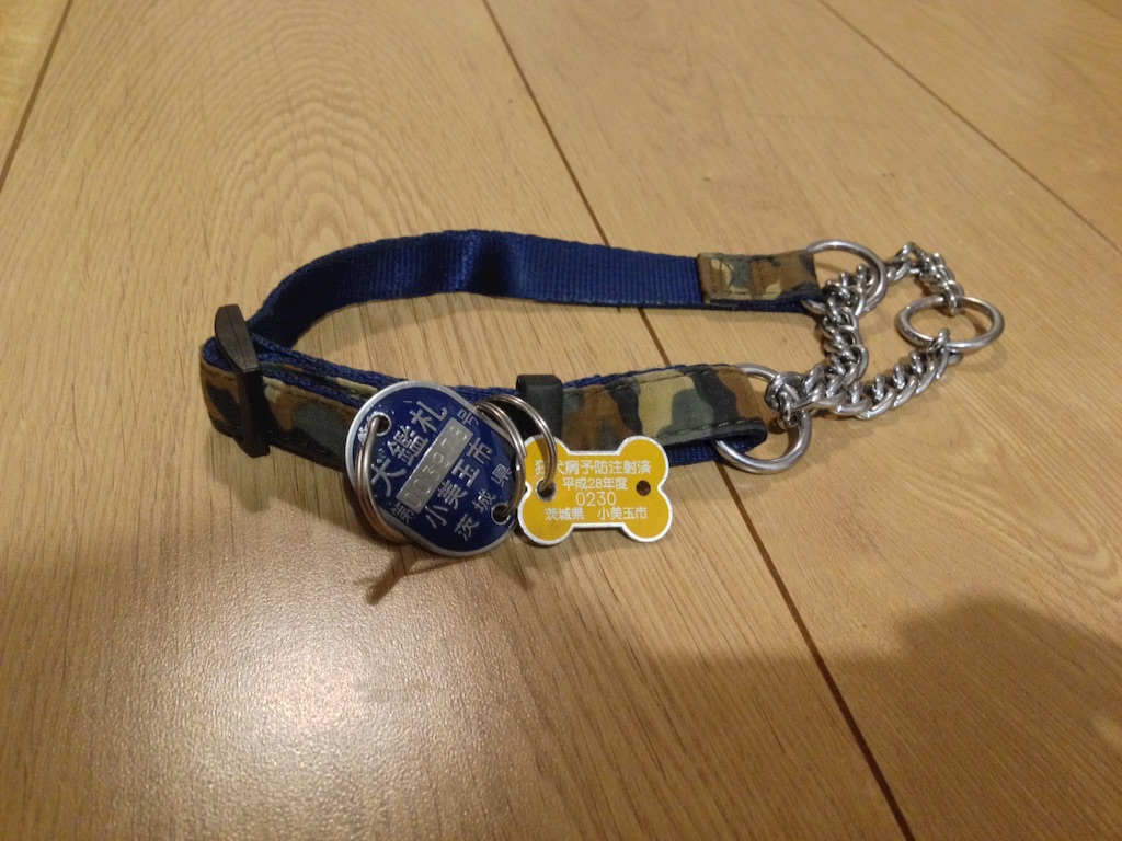 f:id:popo330tama:20160619000807j:image f:id:popo330tama:20160619000807j:image