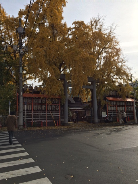 f:id:popocoring:20141209210925j:plain f:id:popocoring:20141209210925j:plain