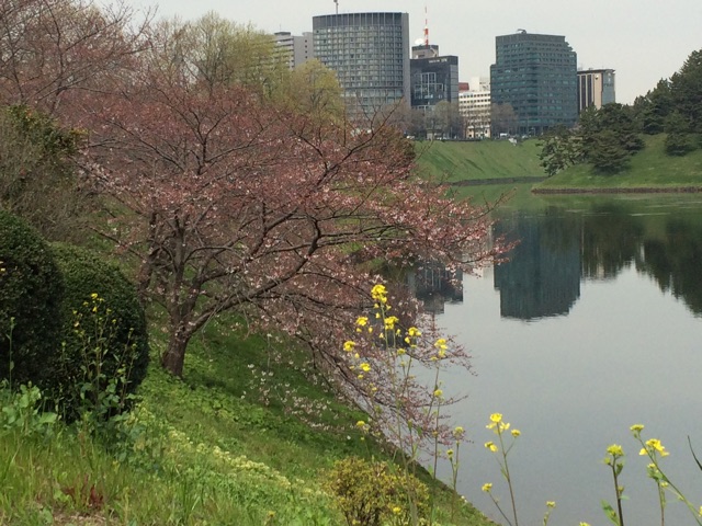 f:id:popocoring:20150328200333j:plain f:id:popocoring:20150328200333j:plain