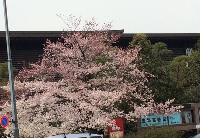 f:id:popocoring:20150328200627j:plain f:id:popocoring:20150328200627j:plain