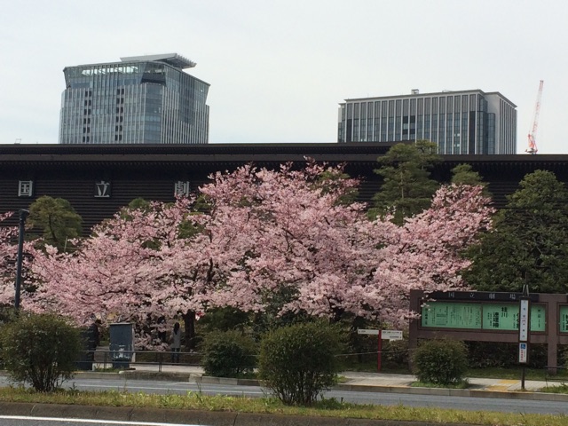 f:id:popocoring:20150328200640j:plain f:id:popocoring:20150328200640j:plain