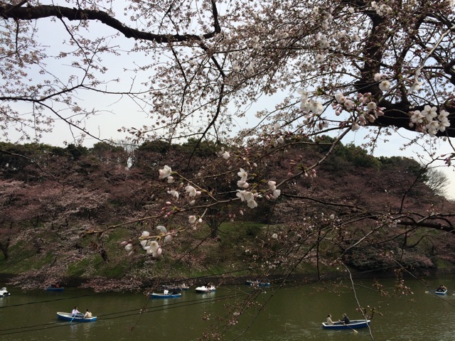 f:id:popocoring:20150328200831j:plain f:id:popocoring:20150328200831j:plain