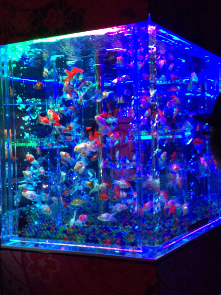 f:id:popocoring:20150722100414j:image f:id:popocoring:20150722100414j:image