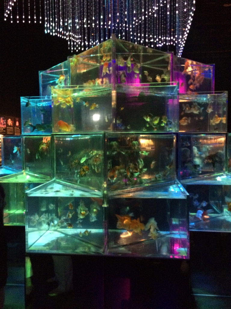 f:id:popocoring:20150722100522j:image f:id:popocoring:20150722100522j:image