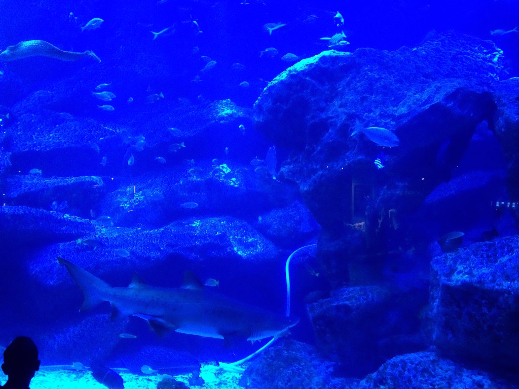 f:id:popocoring:20150908220133j:image f:id:popocoring:20150908220133j:image