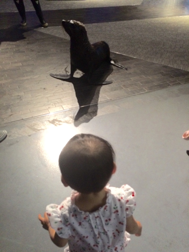 f:id:popocoring:20150908220153j:image f:id:popocoring:20150908220153j:image