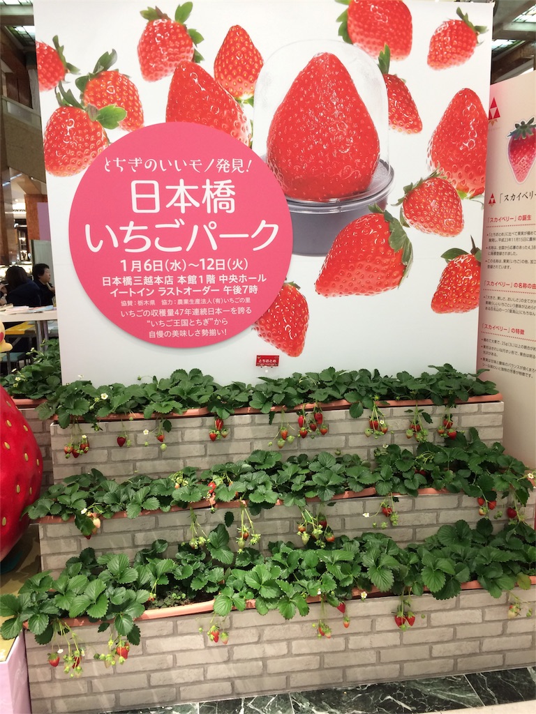 f:id:popocoring:20160108171943j:image f:id:popocoring:20160108171943j:image