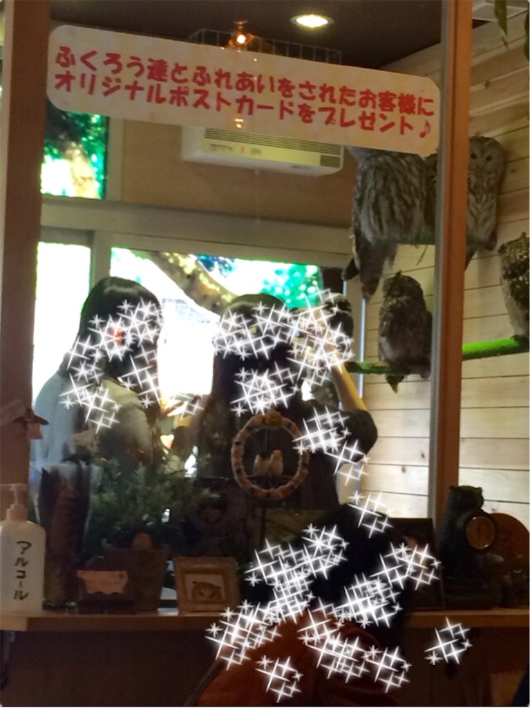 f:id:popocoring:20160319141209j:image f:id:popocoring:20160319141209j:image