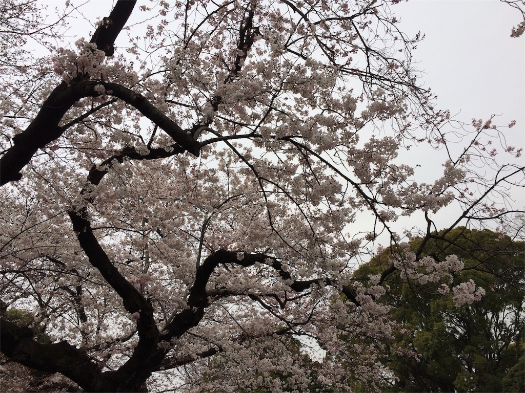 f:id:popocoring:20160330203818j:image f:id:popocoring:20160330203818j:image