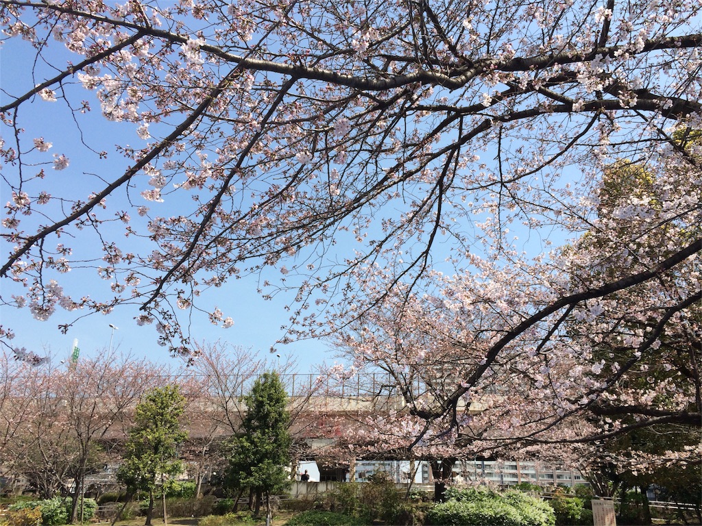 f:id:popocoring:20160404131917j:image f:id:popocoring:20160404131917j:image