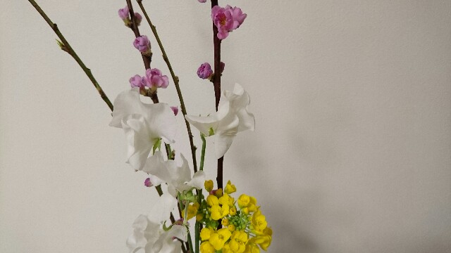 f:id:poporigoto:20160303215526j:image f:id:poporigoto:20160303215526j:image