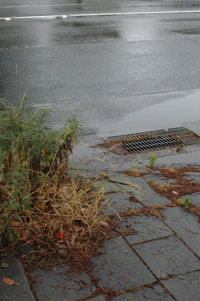 f:id:porimern:20100613075711j:image f:id:porimern:20100613075711j:image