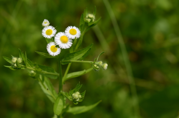 f:id:porimern:20140601122310j:image f:id:porimern:20140601122310j:image