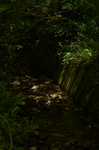 f:id:porimern:20140601124601j:image f:id:porimern:20140601124601j:image