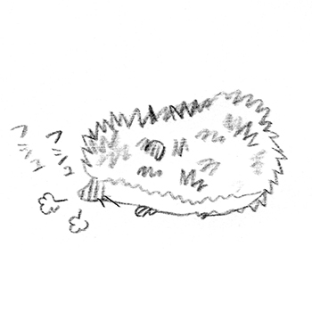 f:id:poteharibo:20150925123250j:plain f:id:poteharibo:20150925123250j:plain