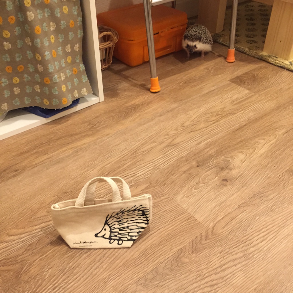 f:id:poteharibo:20151117101406j:image f:id:poteharibo:20151117101406j:image