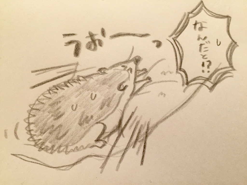 f:id:poteharibo:20151215223212j:image f:id:poteharibo:20151215223212j:image