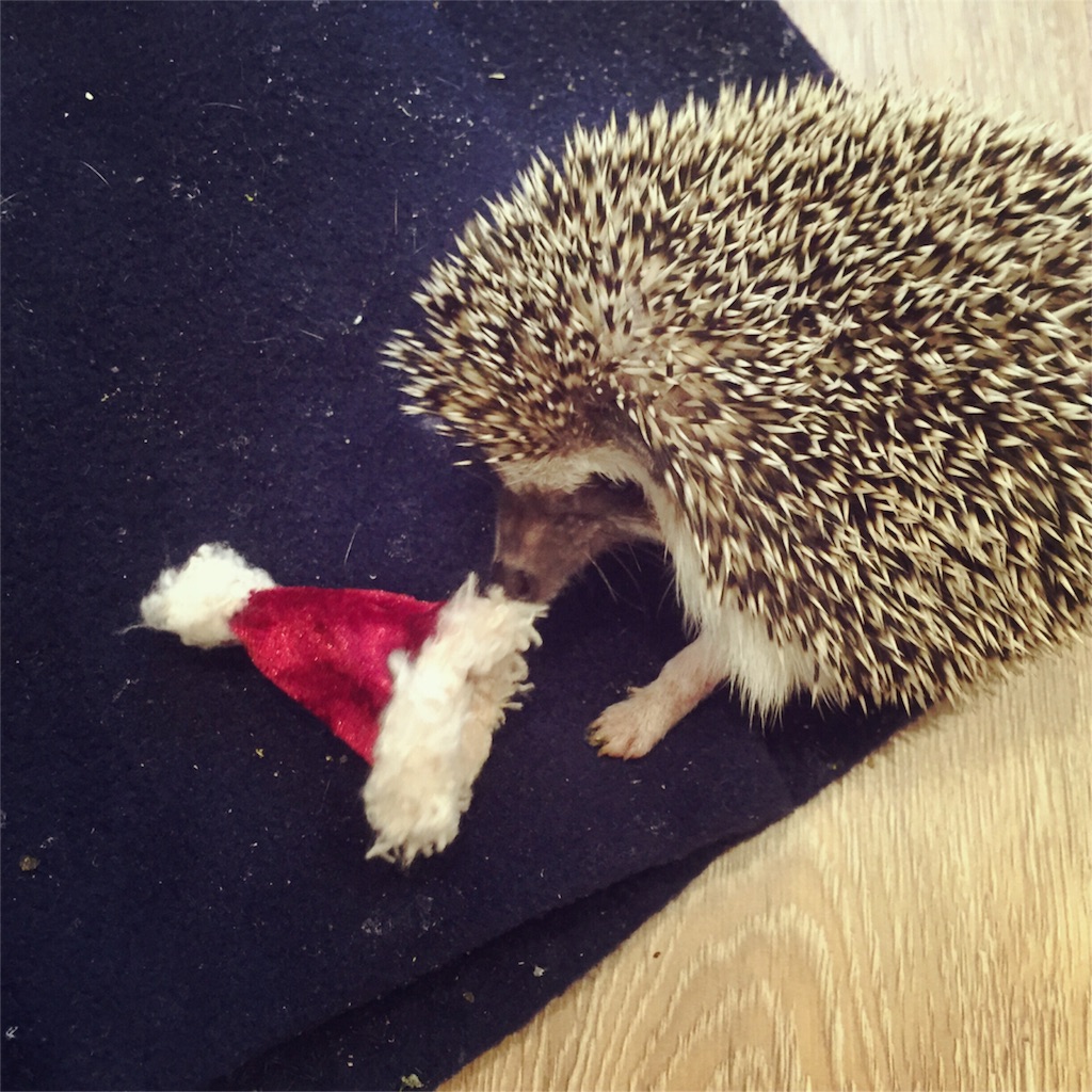f:id:poteharibo:20151225100607j:image f:id:poteharibo:20151225100607j:image
