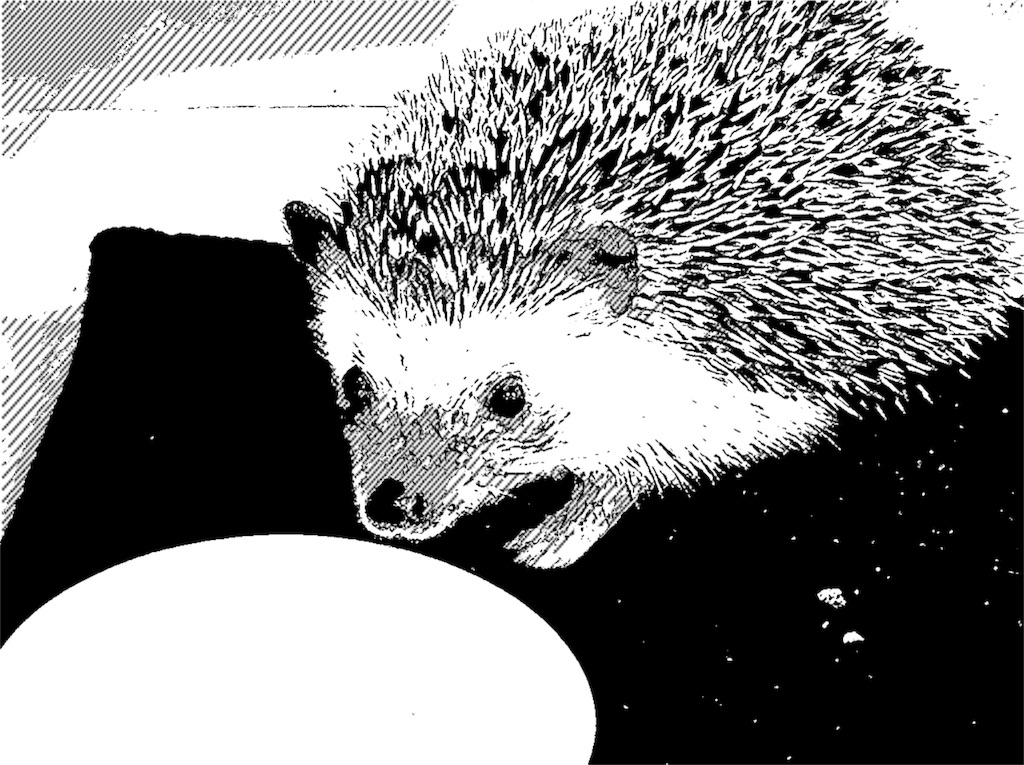 f:id:poteharibo:20160121102702j:image f:id:poteharibo:20160121102702j:image