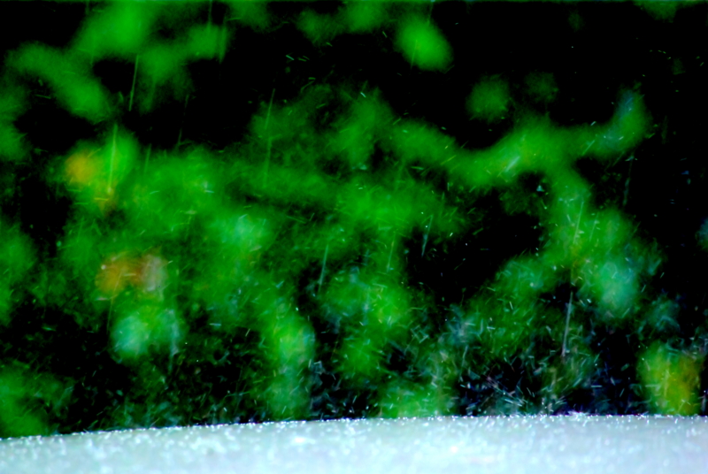 f:id:pottering_potarin:20130916120845j:plain f:id:pottering_potarin:20130916120845j:plain