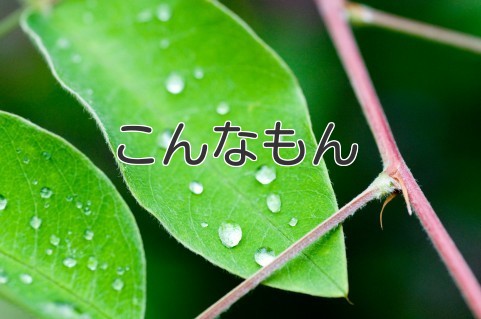f:id:ppp2500:20160208103024j:plain f:id:ppp2500:20160208103024j:plain