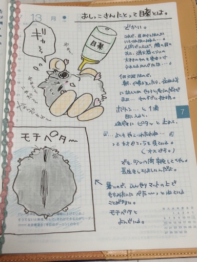 f:id:ppppyokoooo:20150729201551j:image f:id:ppppyokoooo:20150729201551j:image