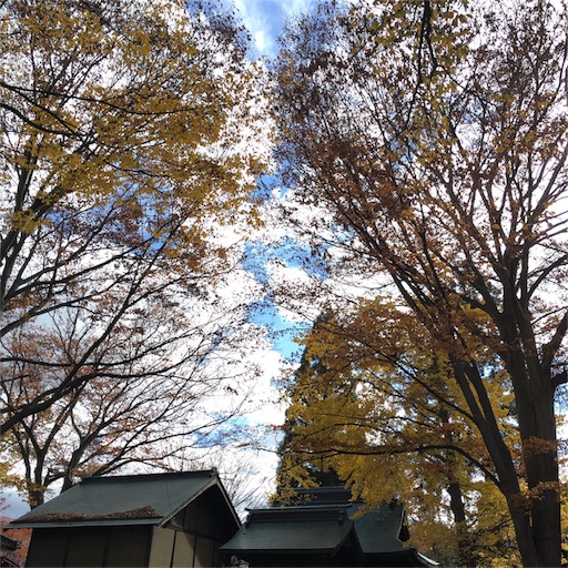 f:id:ppppyokoooo:20151113135503j:image f:id:ppppyokoooo:20151113135503j:image