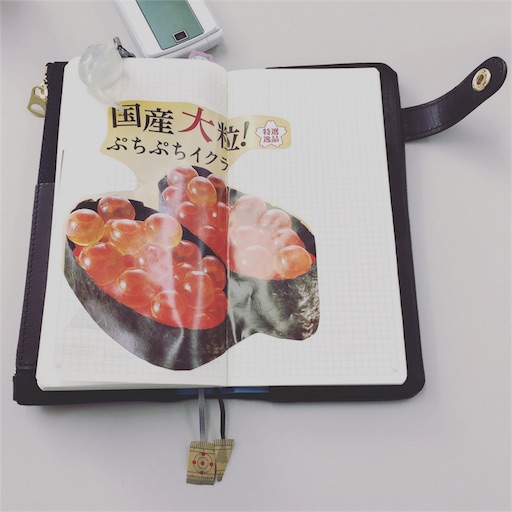 f:id:ppppyokoooo:20160311130210j:image f:id:ppppyokoooo:20160311130210j:image