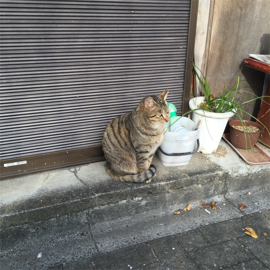 f:id:practice-note:20160111185755j:image f:id:practice-note:20160111185755j:image