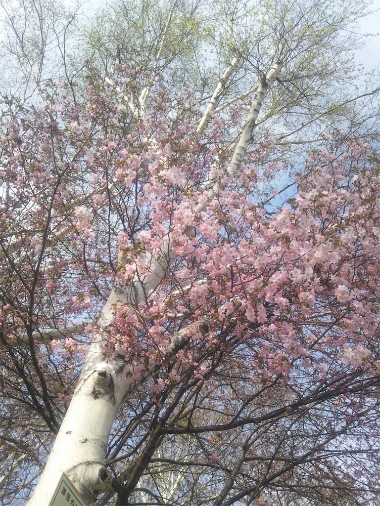 f:id:priere-vie:20160509222926j:image f:id:priere-vie:20160509222926j:image