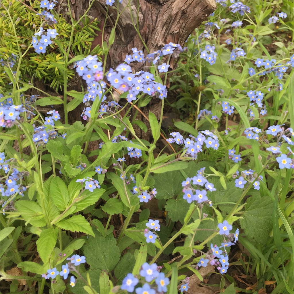 f:id:priere-vie:20160516151354j:image f:id:priere-vie:20160516151354j:image