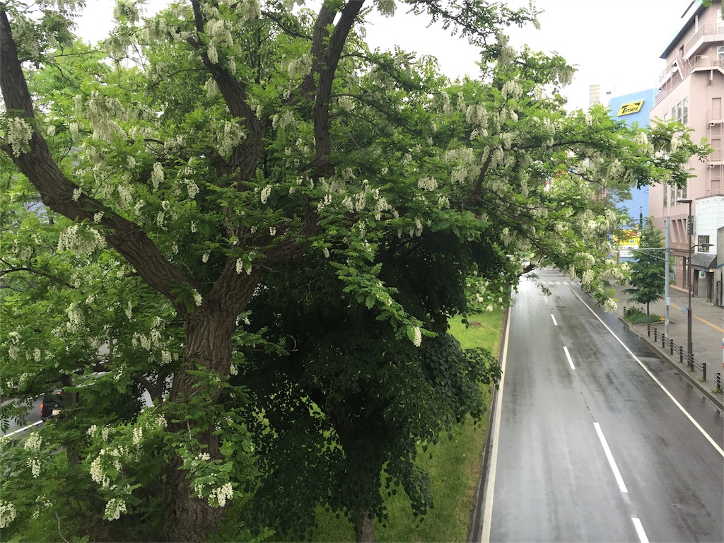 f:id:priere-vie:20160609001812j:image f:id:priere-vie:20160609001812j:image