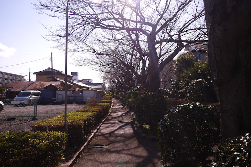 f:id:program_study:20150210102814j:image f:id:program_study:20150210102814j:image