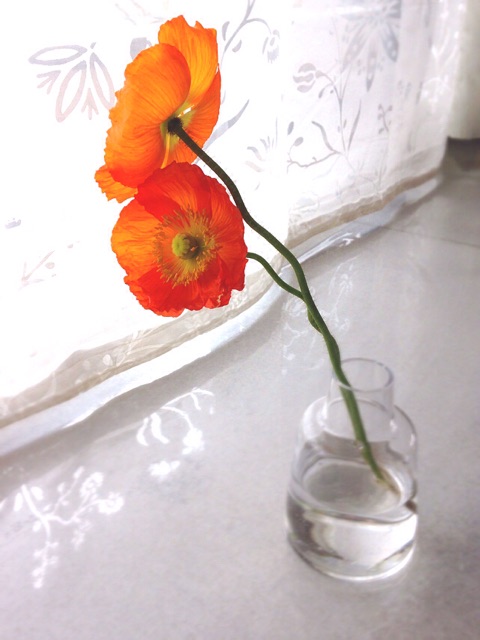 f:id:promenade39:20150403113821j:plain f:id:promenade39:20150403113821j:plain